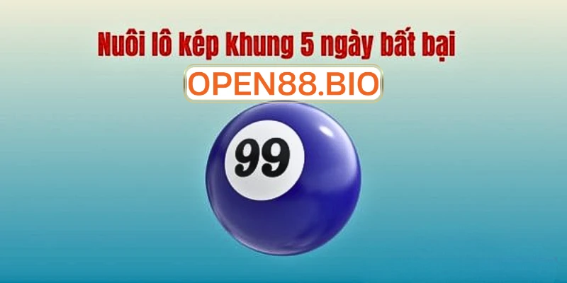 Nuôi lô kép khung 5 ngày – Chiến thuật đầu tư thông minh và bền vững Cách soi cầu nuôi lô kép khung 5 ngày chính xác nhấ