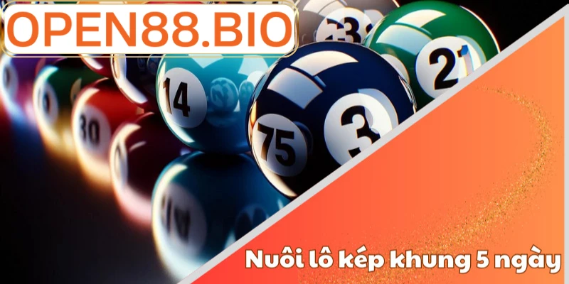 Nuôi lô kép khung 5 ngày – Chiến thuật đầu tư thông minh và bền vững Lưu ý khi chơi nuôi lô kép khung 5 ngày tại OPEN88